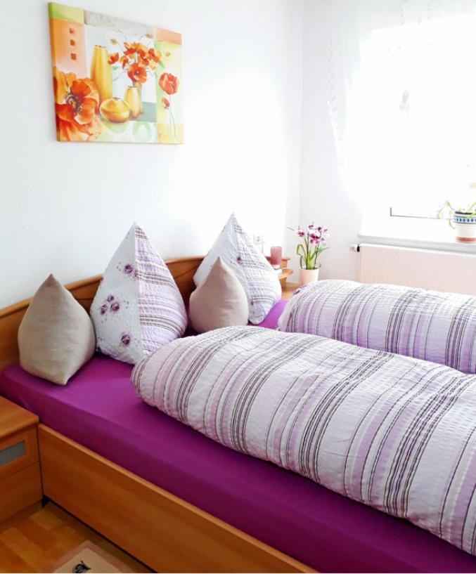 Ferienwohnung Maria Miller Hemfurth-Edersee المظهر الخارجي الصورة